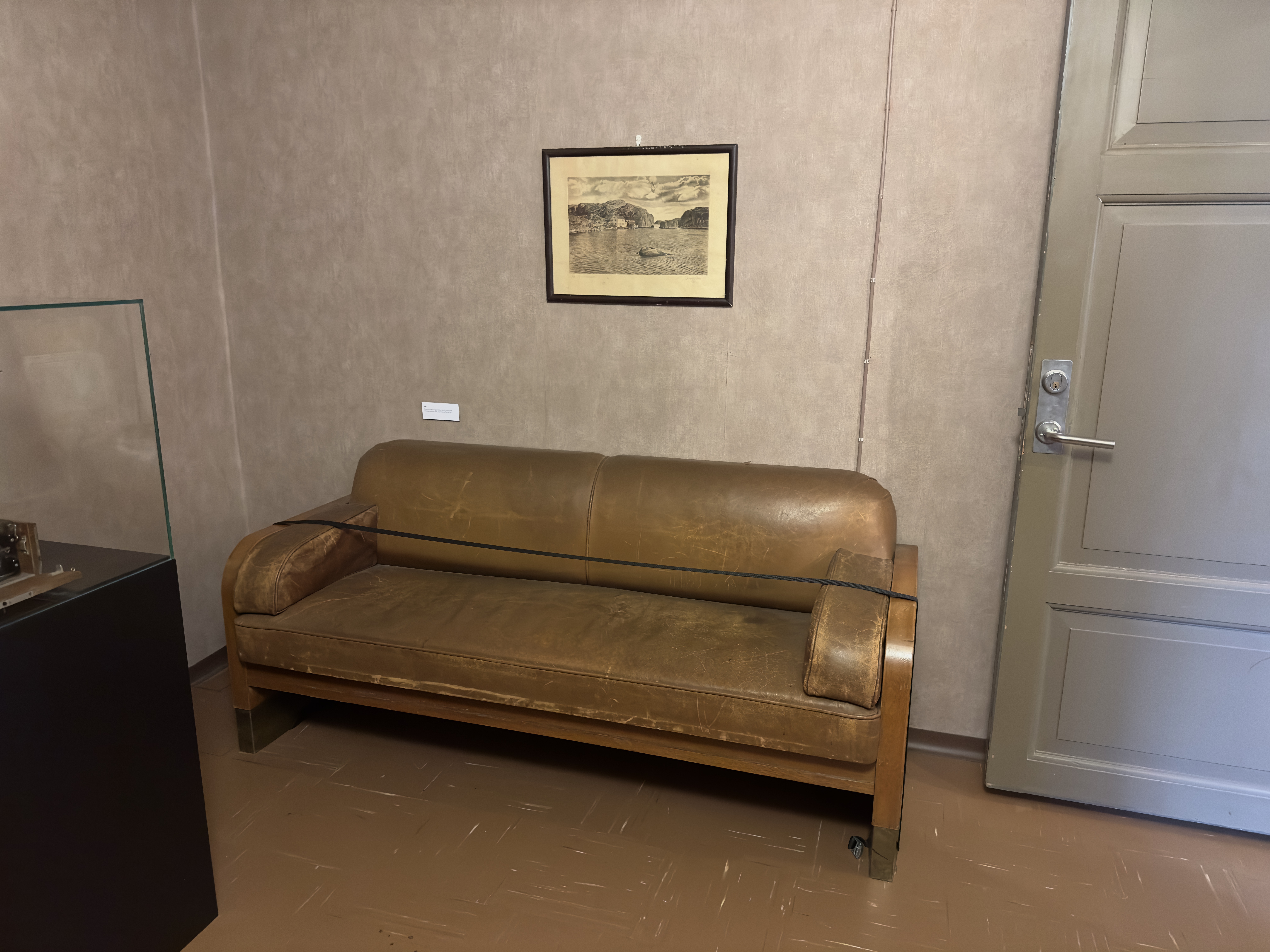 Article Sven Sofa Review: After Weeks of Testing
