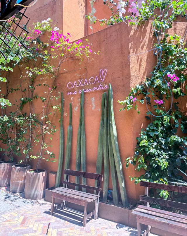 Oaxaca, Mexico Review: Our Honest Verdict