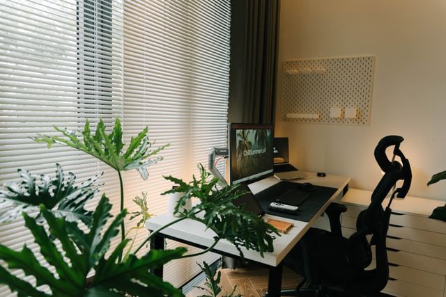 Best Home Office Setups for Comfort and Focus