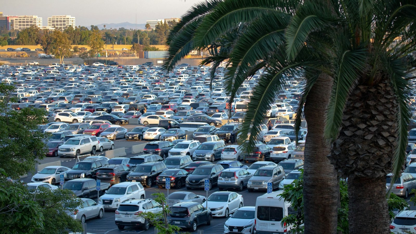 A large surface parking lot packed with cars, framed by a palm tree in the foreground (photo: Lauren Hammar / Unsplash)