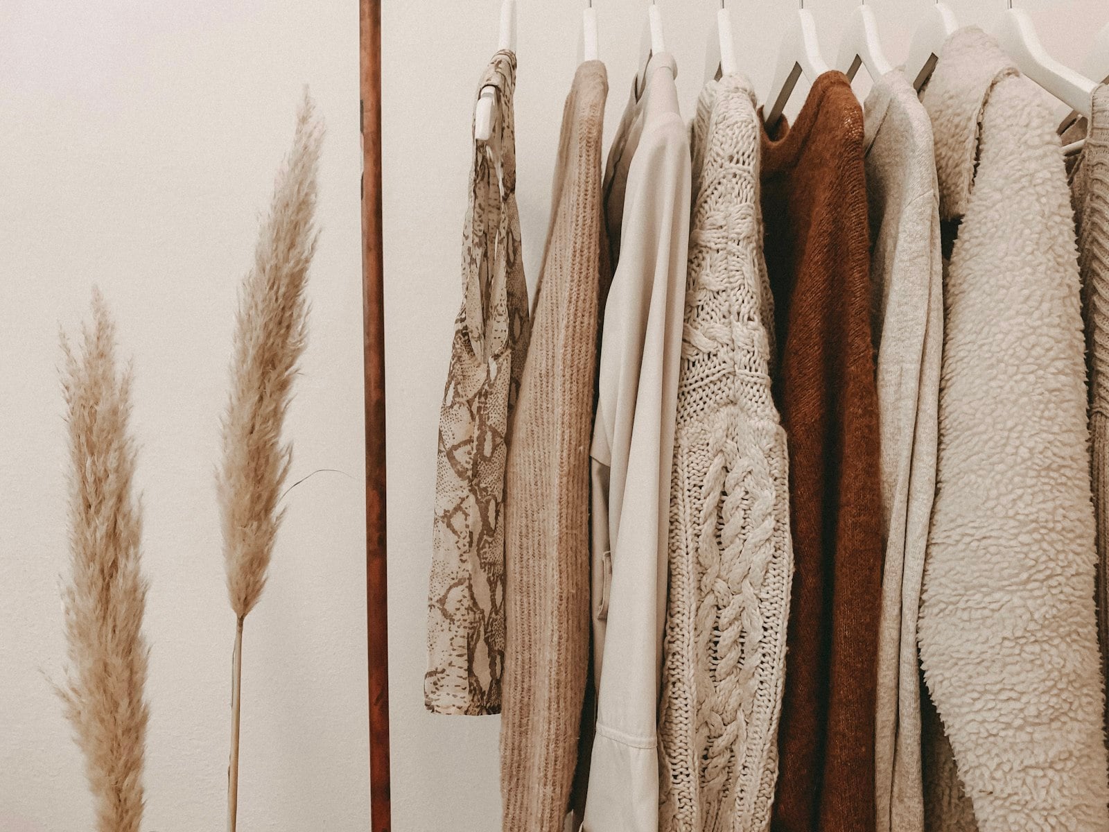 Rail of neutral knitwear beside dried pampas grass (photo: Alyssa Strohmann / Unsplash)