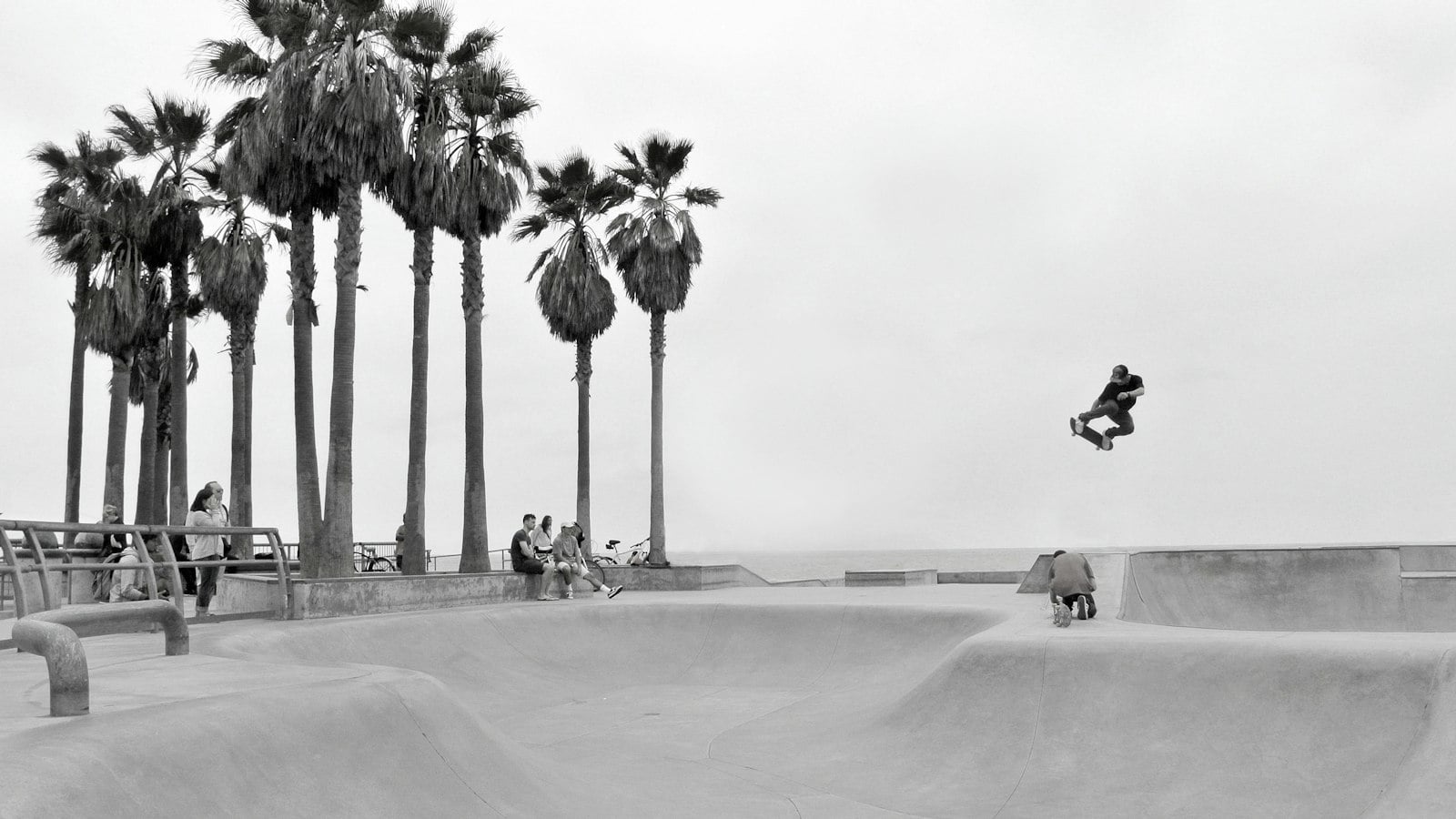 A skater in a beachside skatepark lined with palm trees, in black and white (photo: Ursi Schmied / Unsplash)